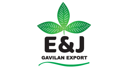 gavilan-export