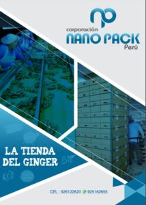 catalogo-producto